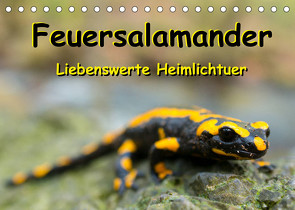 Feuersalamander – Liebenswerte Heimlichtuer (Tischkalender 2022 DIN A5 quer) von Vahldiek,  Carola