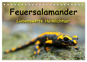 Feuersalamander – Liebenswerte Heimlichtuer (Tischkalender 2024 DIN A5 quer), CALVENDO Monatskalender von Vahldiek,  Carola