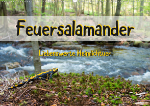 Feuersalamander – Liebenswerte Heimlichtuer (Wandkalender 2021 DIN A2 quer) von Vahldiek,  Carola