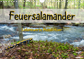 Feuersalamander – Liebenswerte Heimlichtuer (Wandkalender 2021 DIN A4 quer) von Vahldiek,  Carola