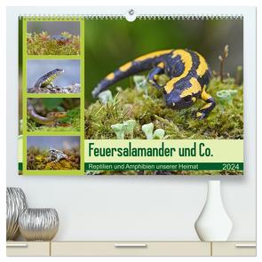 Feuersalamander und Co. (hochwertiger Premium Wandkalender 2024 DIN A2 quer), Kunstdruck in Hochglanz von GUGIGEI,  GUGIGEI