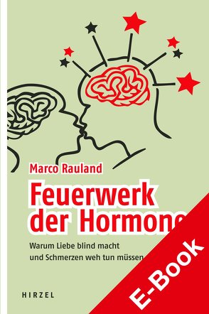 Feuerwerk der Hormone von Rauland,  Marco