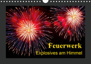 Feuerwerk – Explosives am Himmel (Wandkalender 2021 DIN A4 quer) von Steinbrenner,  Ulrike