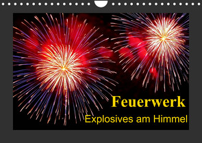 Feuerwerk – Explosives am Himmel (Wandkalender 2022 DIN A4 quer) von Steinbrenner,  Ulrike