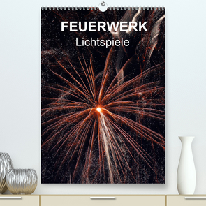 FEUERWERK – Lichtspiele (Premium, hochwertiger DIN A2 Wandkalender 2022, Kunstdruck in Hochglanz) von Sock,  Reinhard