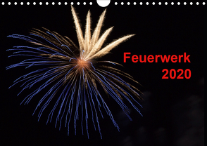 Feuerwerk (Wandkalender 2020 DIN A4 quer) von E. Klein,  Tim