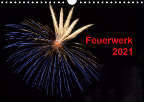 Feuerwerk (Wandkalender 2021 DIN A4 quer) von E. Klein,  Tim