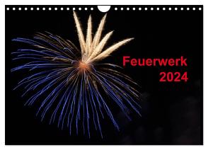 Feuerwerk (Wandkalender 2024 DIN A4 quer), CALVENDO Monatskalender von E. Klein,  Tim