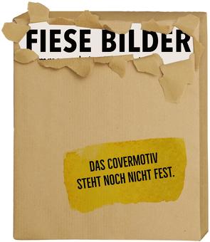 Fiese Bilder – Voll-daneben-Cartoons von Diverse, Kleinert,  Wolfgang, Schwalm,  Dieter