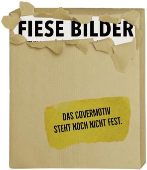 Fiese Bilder – Buchausgabe 2023 von Haubner,  Antje, Kleinert,  Wolfgang, Schwalm,  Dieter