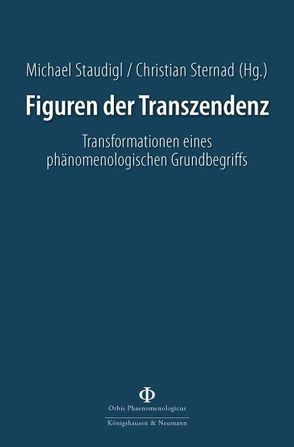 Figuren der Transzendenz von Staudigl,  Michael, Sternad,  Christian