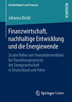 Finanzwirtschaft, nachhaltige Entwicklung und die Energiewende von Dichtl,  Johanna