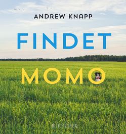 Findet Momo von Knapp,  Andrew