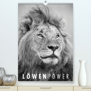 FineArt in Black and White: LöwenpowerAT-Version (Premium, hochwertiger DIN A2 Wandkalender 2020, Kunstdruck in Hochglanz) von Gerlach,  Ingo