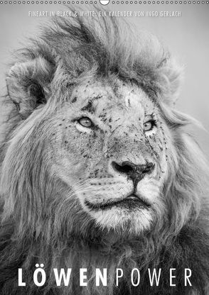 FineArt in Black and White: LöwenpowerAT-Version (Wandkalender 2018 DIN A2 hoch) von Gerlach,  Ingo