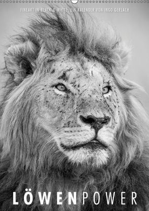 FineArt in Black and White: LöwenpowerAT-Version (Wandkalender 2019 DIN A2 hoch) von Gerlach,  Ingo