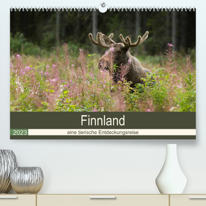 Finnland: eine tierische Entdeckungsreise (Premium, hochwertiger DIN A2 Wandkalender 2023, Kunstdruck in Hochglanz) von Wünsch,  Alexandra