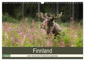 Finnland: eine tierische Entdeckungsreise (Wandkalender 2024 DIN A3 quer), CALVENDO Monatskalender von Wünsch,  Alexandra