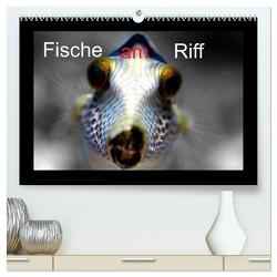 Fische am Riff (hochwertiger Premium Wandkalender 2024 DIN A2 quer), Kunstdruck in Hochglanz von Witkowski,  Bernd