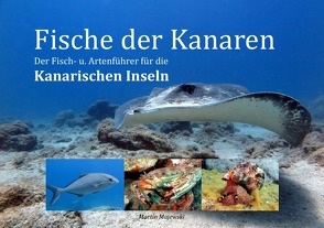 Fische der Kanaren von Majewski,  Martin