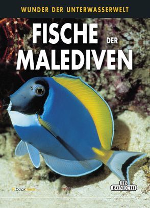 Fische der Malediven von Ghisotti,  Andrea