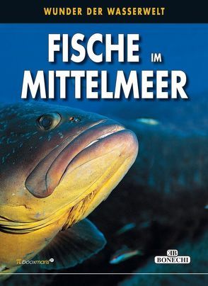 Fische im Mittelmeer von Ghisotti,  Andrea