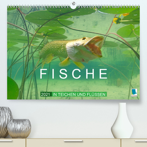 Fische in Teichen und Flüssen (Premium, hochwertiger DIN A2 Wandkalender 2021, Kunstdruck in Hochglanz) von CALVENDO