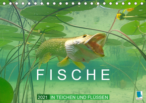 Fische in Teichen und Flüssen (Tischkalender 2021 DIN A5 quer) von CALVENDO