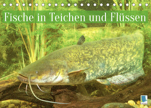 Fische in Teichen und Flüssen (Tischkalender 2022 DIN A5 quer) von CALVENDO