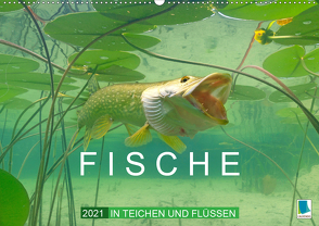 Fische in Teichen und Flüssen (Wandkalender 2021 DIN A2 quer) von CALVENDO