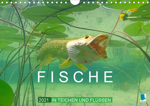 Fische in Teichen und Flüssen (Wandkalender 2021 DIN A4 quer) von CALVENDO