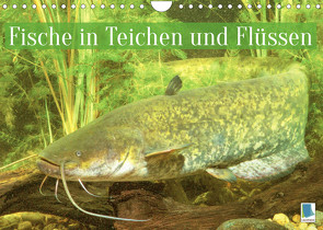 Fische in Teichen und Flüssen (Wandkalender 2022 DIN A4 quer) von CALVENDO