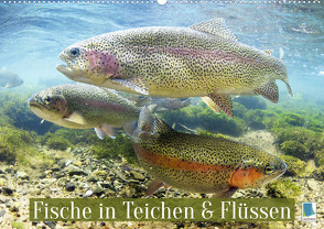 Fische in Teichen und Flüssen (Wandkalender 2023 DIN A2 quer) von CALVENDO