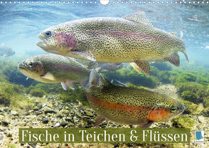 Fische in Teichen und Flüssen (Wandkalender 2023 DIN A3 quer) von CALVENDO