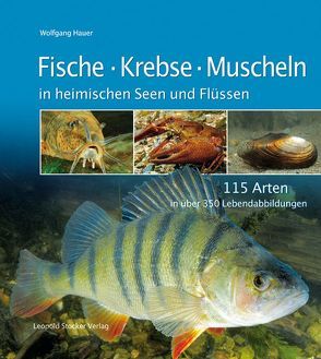 Fische Krebse Muscheln in heimischen Seen und Flüssen von Hauer,  Wolfgang