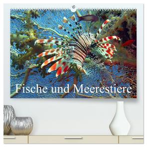 Fische und Meerestiere (hochwertiger Premium Wandkalender 2024 DIN A2 quer), Kunstdruck in Hochglanz von Stanzer,  Elisabeth