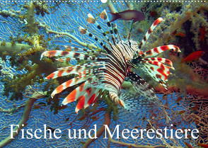 Fische und Meerestiere (Wandkalender 2023 DIN A2 quer) von Stanzer,  Elisabeth