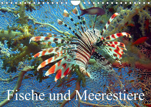 Fische und Meerestiere (Wandkalender 2023 DIN A4 quer) von Stanzer,  Elisabeth