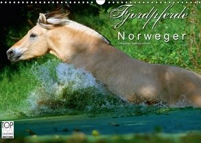 Fjordpferde – Norweger (Wandkalender 2018 DIN A3 quer) von Dünisch - www.Ramona-Duenisch.de,  Ramona