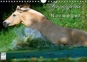 Fjordpferde – Norweger (Wandkalender 2018 DIN A4 quer) von Dünisch - www.Ramona-Duenisch.de,  Ramona