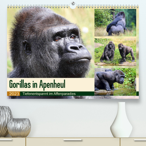 Flachlandgorillas in Apenheul (Premium, hochwertiger DIN A2 Wandkalender 2023, Kunstdruck in Hochglanz) von und Michael Herzog,  Yvonne