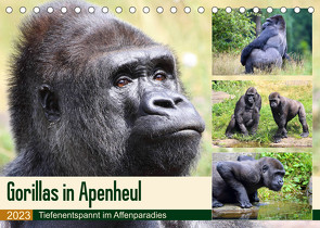 Flachlandgorillas in Apenheul (Tischkalender 2023 DIN A5 quer) von und Michael Herzog,  Yvonne