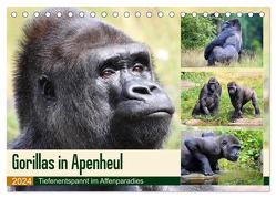 Flachlandgorillas in Apenheul (Tischkalender 2024 DIN A5 quer), CALVENDO Monatskalender von und Michael Herzog,  Yvonne