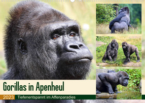 Flachlandgorillas in Apenheul (Wandkalender 2023 DIN A2 quer) von und Michael Herzog,  Yvonne