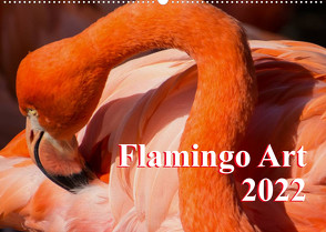 Flamingo Art 2022 (Wandkalender 2022 DIN A2 quer) von Steinwald,  Max