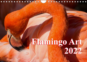 Flamingo Art 2022 (Wandkalender 2022 DIN A4 quer) von Steinwald,  Max