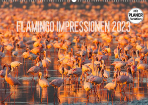 Flamingo Impressionen 2023 (Wandkalender 2023 DIN A2 quer) von Gerlach,  Ingo