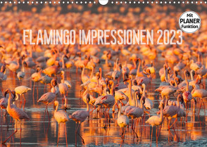 Flamingo Impressionen 2023 (Wandkalender 2023 DIN A3 quer) von Gerlach,  Ingo