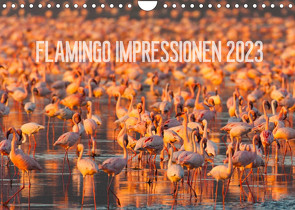 Flamingo Impressionen 2023 (Wandkalender 2023 DIN A4 quer) von Gerlach,  Ingo