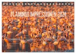 Flamingo Impressionen 2024 (Tischkalender 2024 DIN A5 quer), CALVENDO Monatskalender von Gerlach,  Ingo